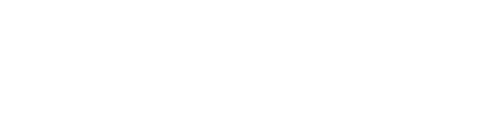 Essence Festival of Culture sponsored by Coca-Cola